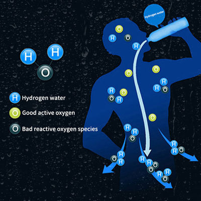 Wasserstoff-Ionen-Filter-Kessel für Wasserstoffreichwasser